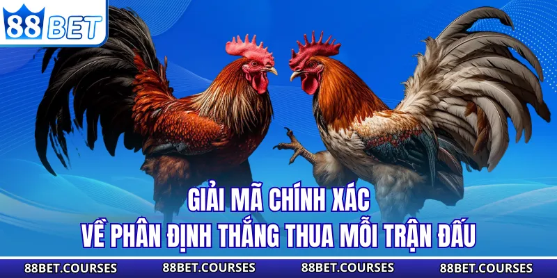 Giải mã chính xác về phân định thắng thua mỗi trận đấu
