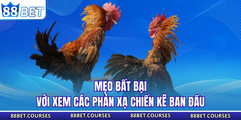 Mẹo bất bại với xem các phản xạ chiến kê ban đầu