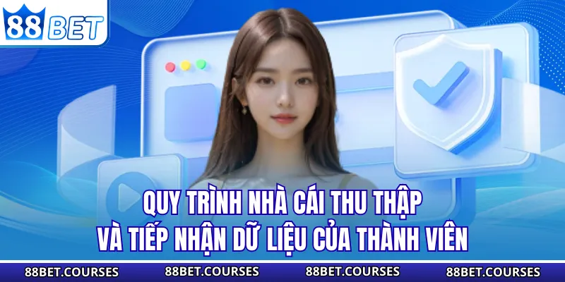 Quy trình nhà cái thu thập và tiếp nhận dữ liệu của thành viên